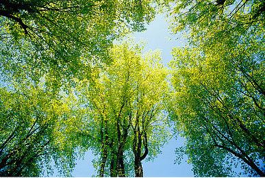 发行商Devoler Digital：《邪恶冥刻》销量突破百万大关